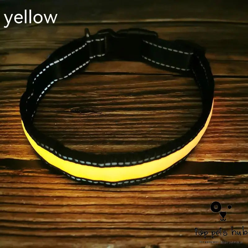LED Luminous Dog Collar with Reflective Stripe