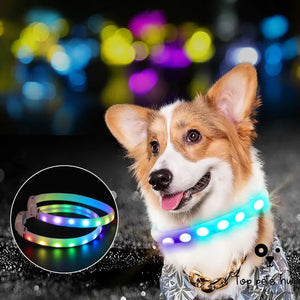 Rechargeable LED Dog Collar - Night Safety for Outdoor
