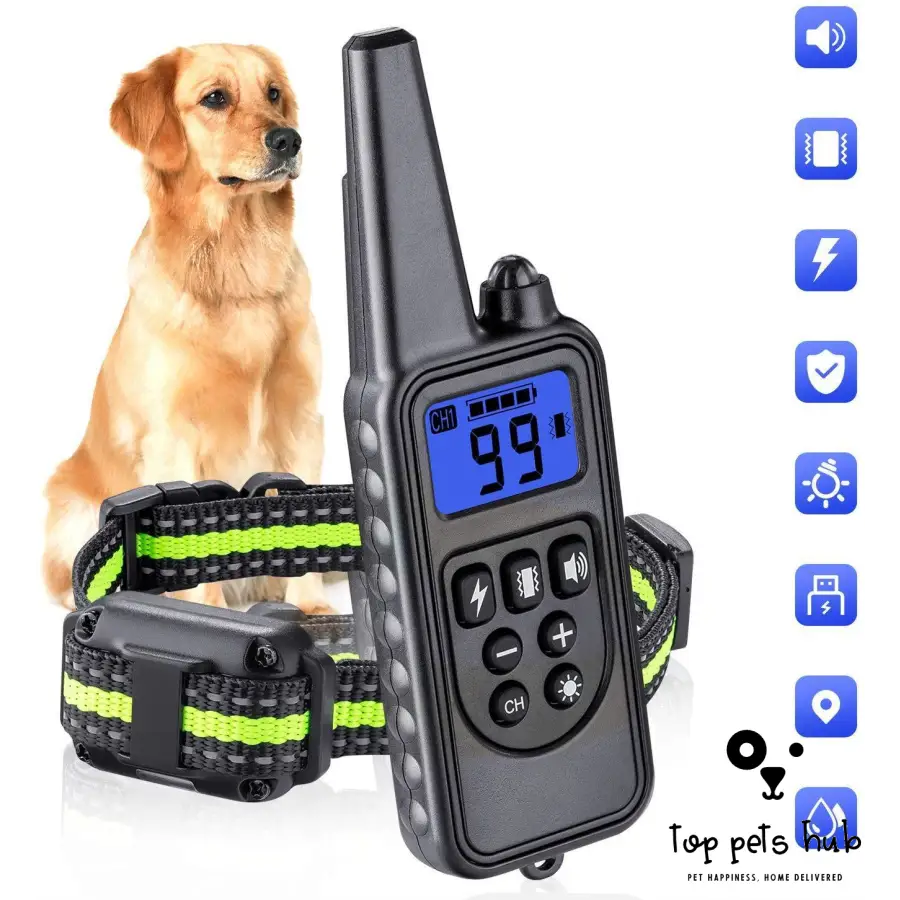 800M Pet Trainer Dog Collar
