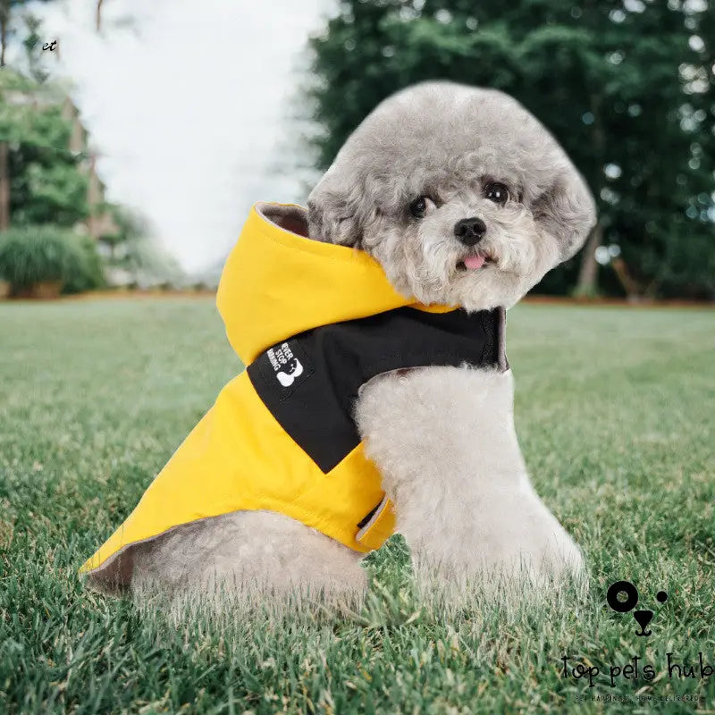 Color Contrast Patchwork New Dog Raincoat