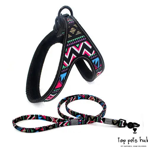 Colorful Dog Walking Rope