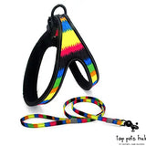 Colorful Dog Walking Rope
