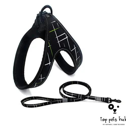 Colorful Dog Walking Rope