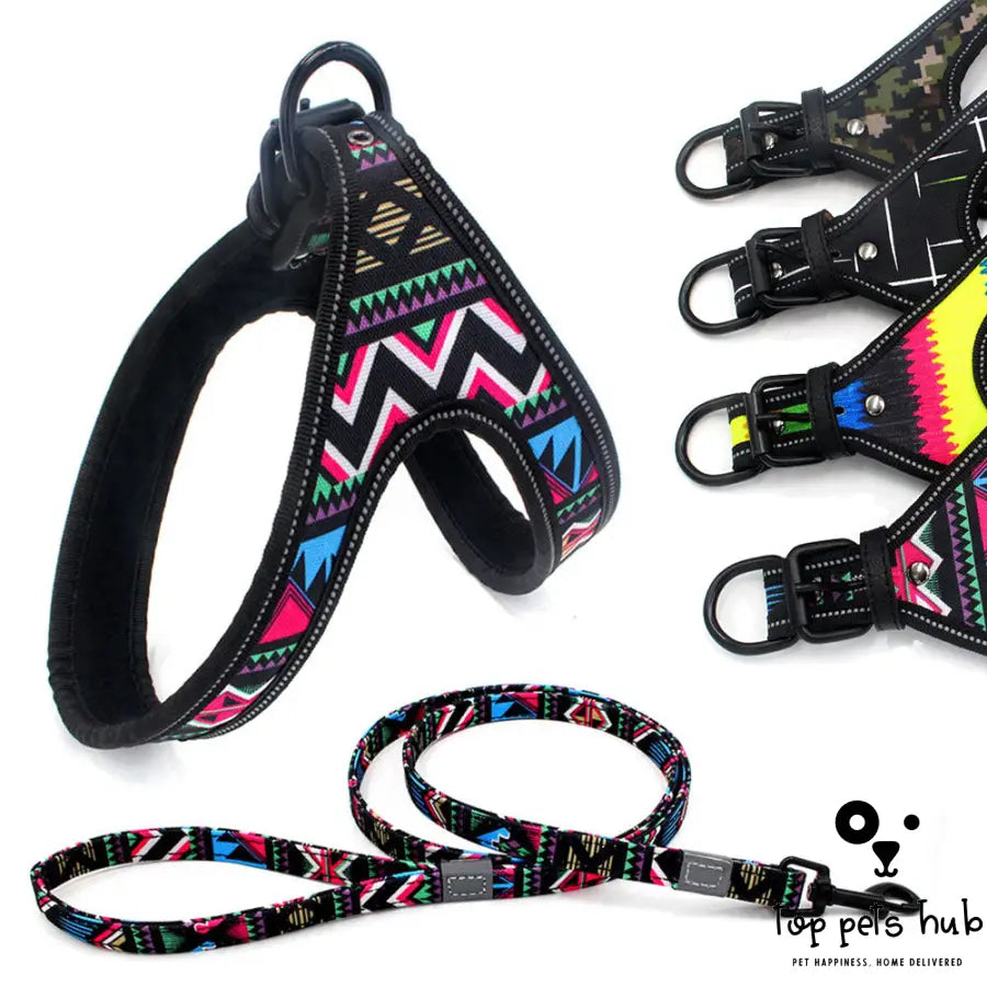 Colorful Dog Walking Rope