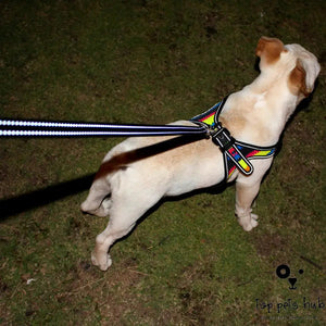Reflective Oxford Pet Harness