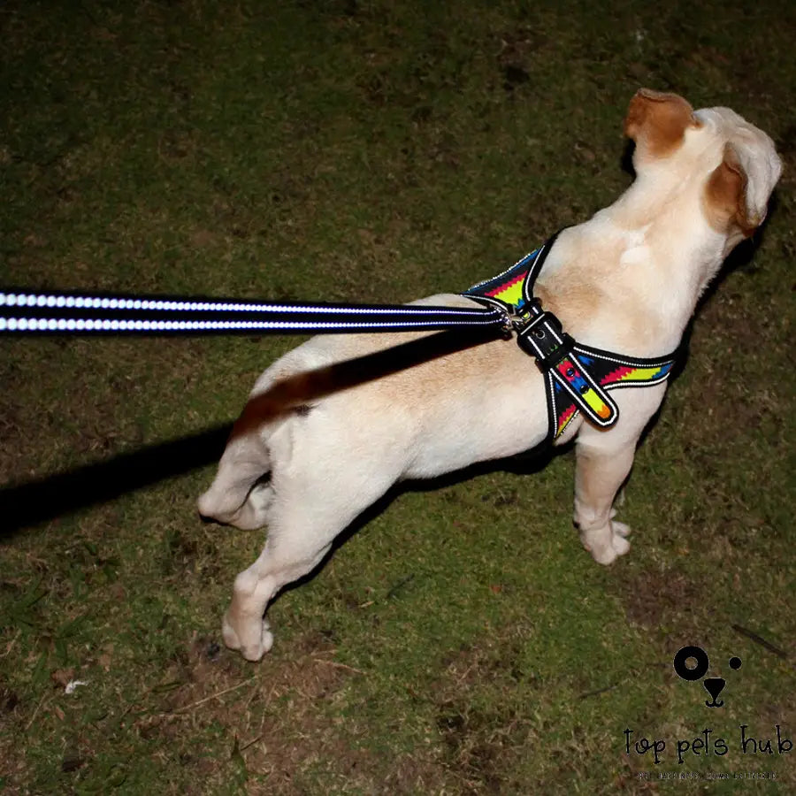 Reflective Oxford Pet Harness