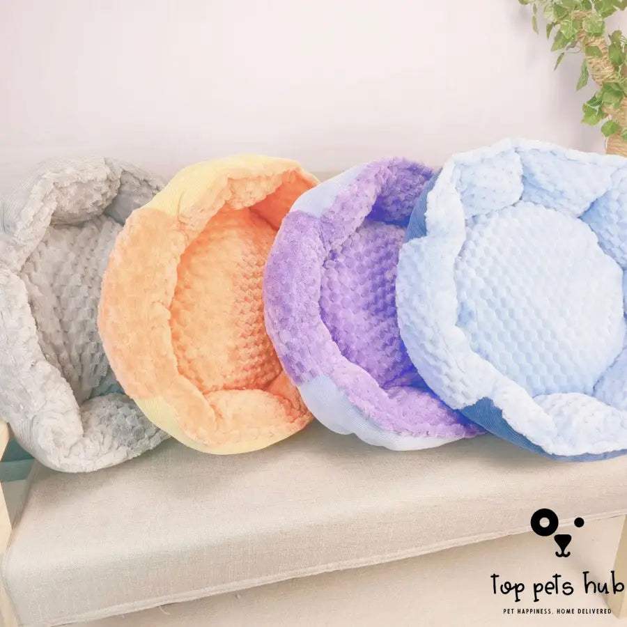 Colorful Thermal Pet Bed