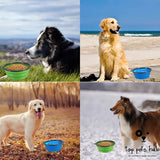 Folding Silicone Dog Bowls