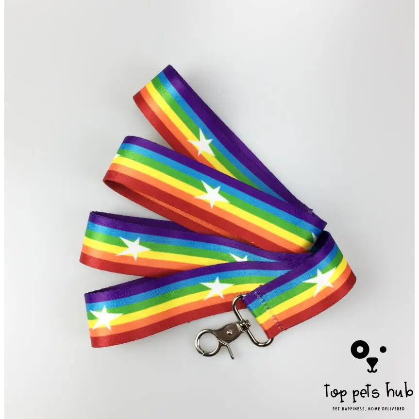 Rainbow Dog Leash