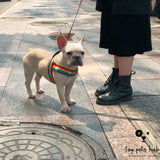 Rainbow Dog Leash