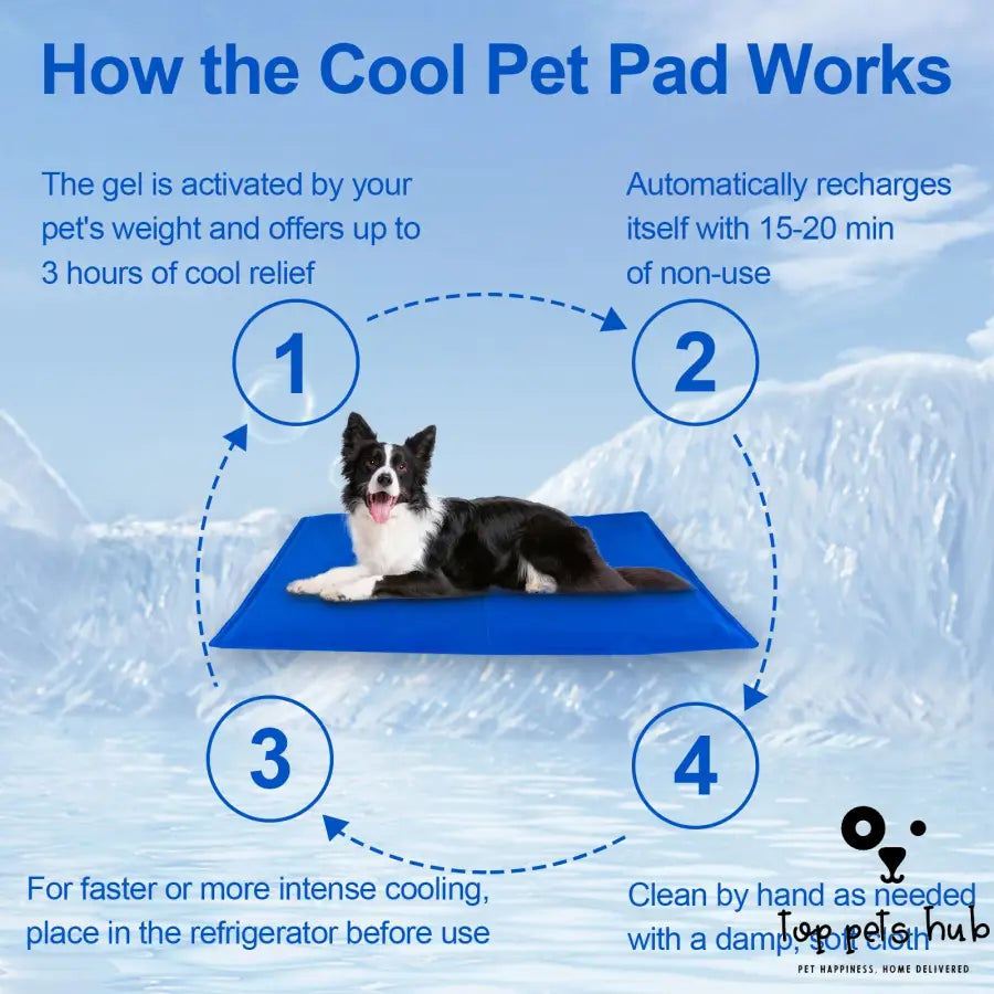 Cooling Mat For Dogs and Cats