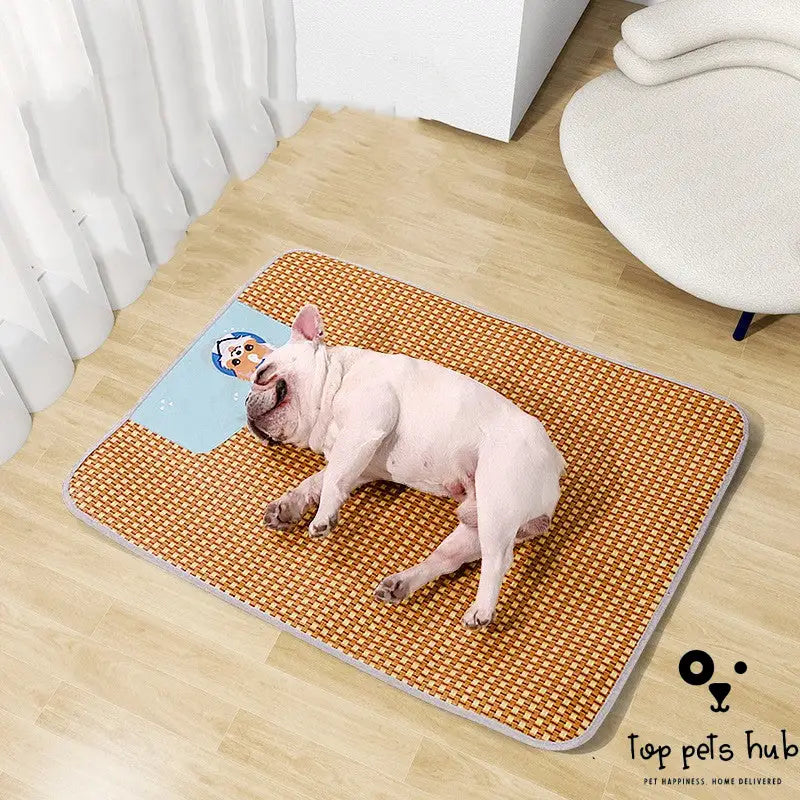 Seasonal Cooling Mat for Pets