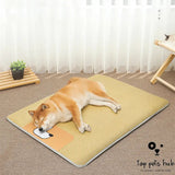 Cooling Dog Mat