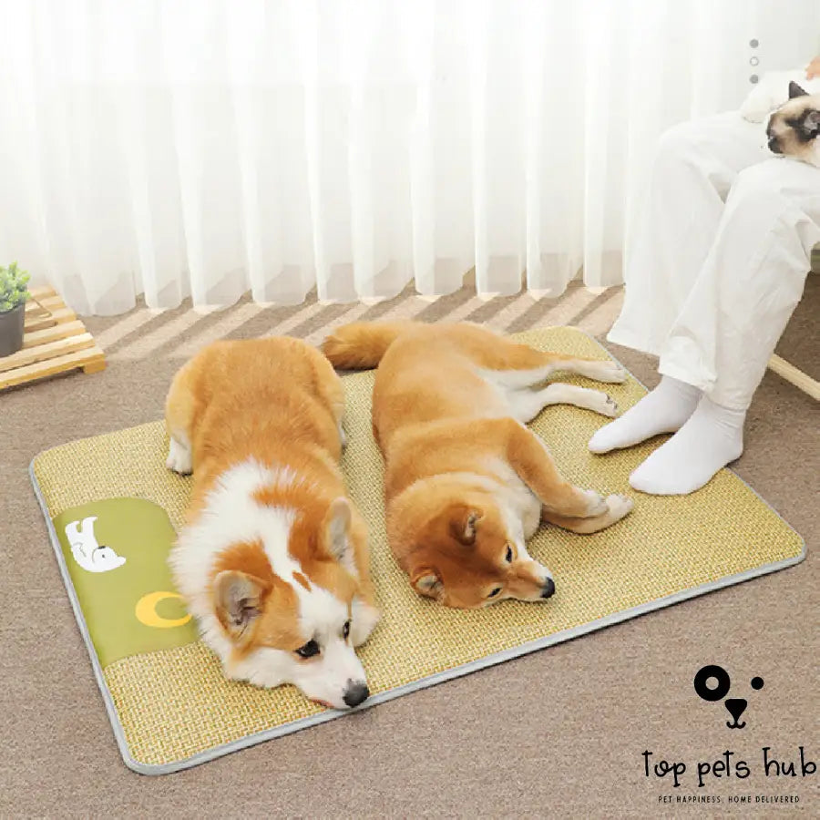 Cooling Dog Mat