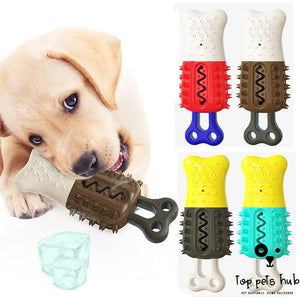Cooling Pet Chewing Supplies for Summer