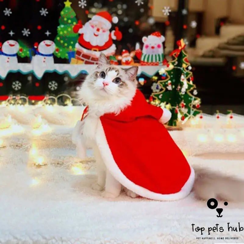 Funny Christmas Cat Clothes - Santa Cloak Costume