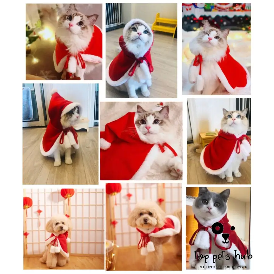 Funny Christmas Cat Clothes - Santa Cloak Costume