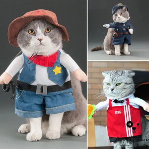 Seasonal Pet Cat Costume