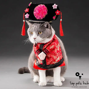 Seasonal Pet Cat Costume