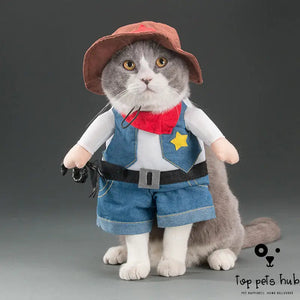 Seasonal Pet Cat Costume