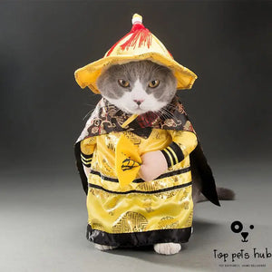 Seasonal Pet Cat Costume