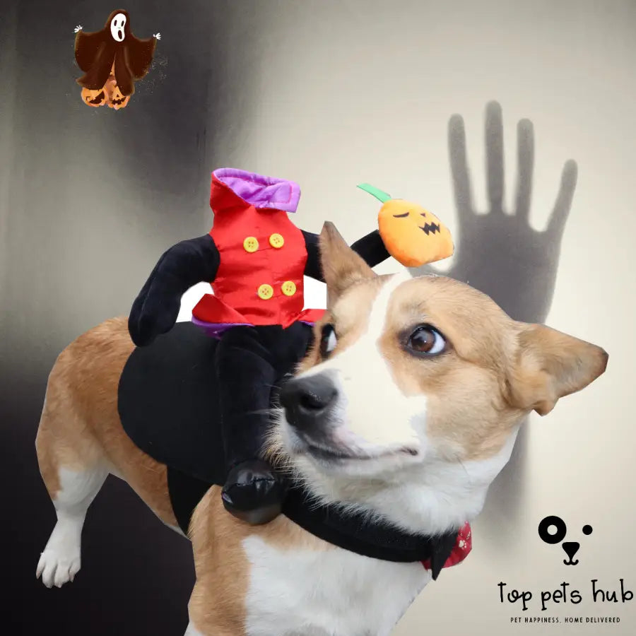 Funny Halloween Pet Costume