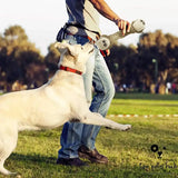 Interactive Cotton Rope Dog Toys