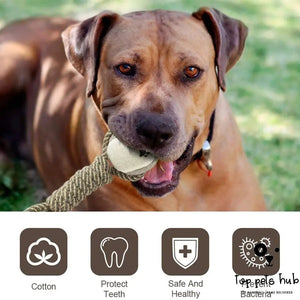 Interactive Cotton Rope Dog Toys