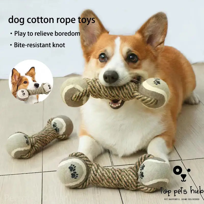 Interactive Cotton Rope Dog Toys