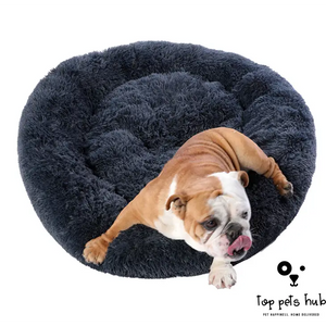 Cotton Pet Sleeping Bed