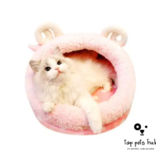 ComfyPaws Indoor Soft Cat Bed and Tent