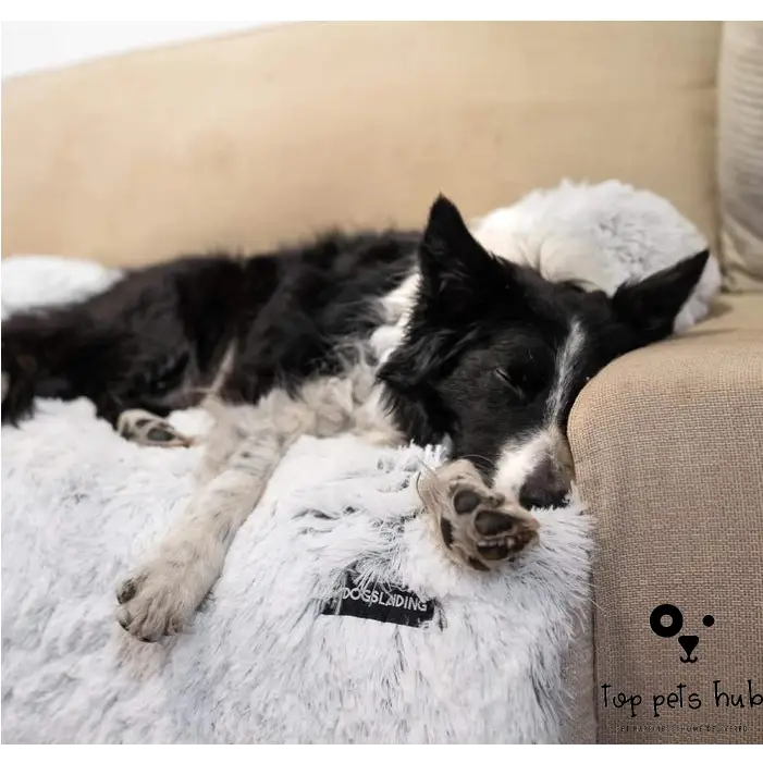 Washable Pet Sofa Mat