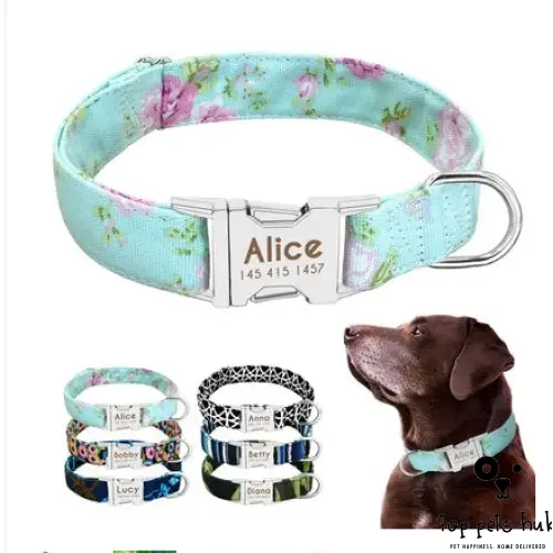 Customizable Large Dog Collar with Name Tag