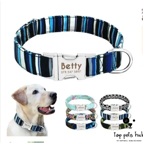 Customizable Large Dog Collar with Name Tag
