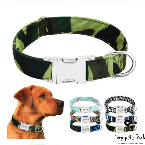 Customizable Large Dog Collar with Name Tag