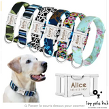 Customizable Large Dog Collar with Name Tag