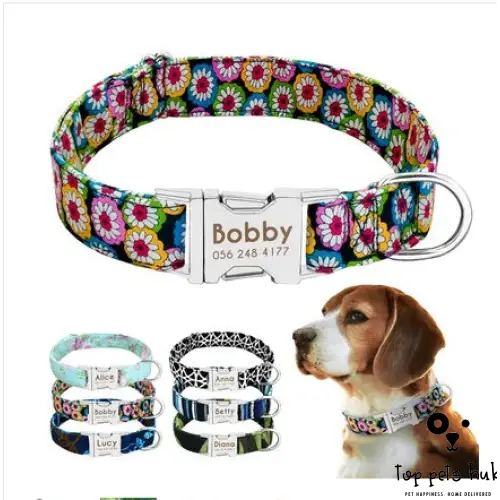 Customizable Large Dog Collar with Name Tag