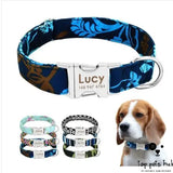 Customizable Large Dog Collar with Name Tag