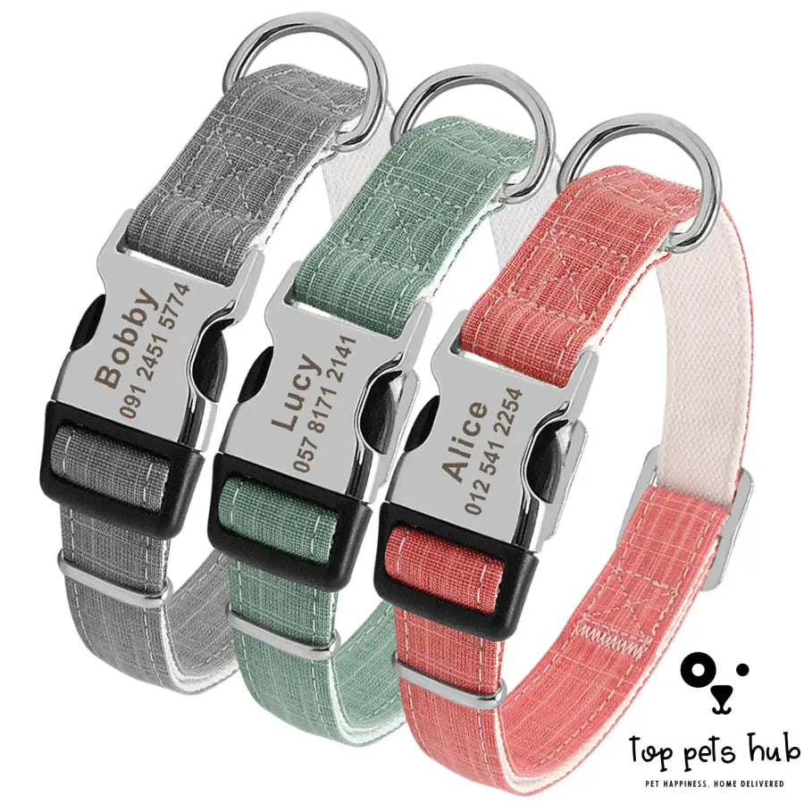Custom Dog Collar with Personalized Tag