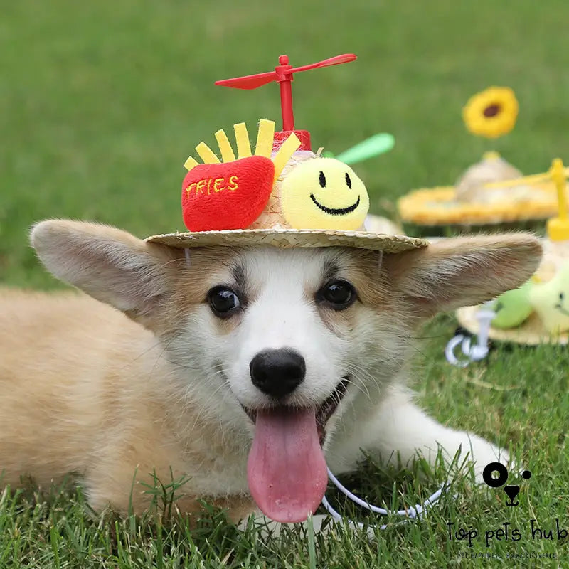 Adorable Pet Hat