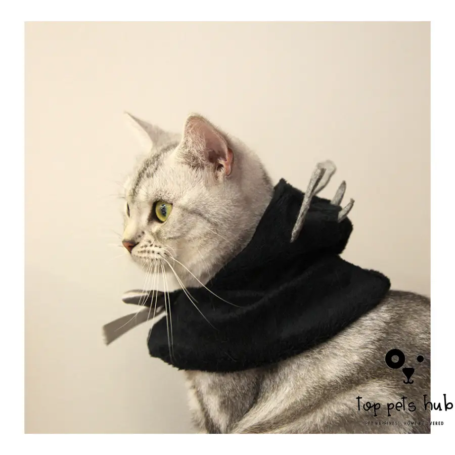 Halloween Bat Hooded Pet Cloak