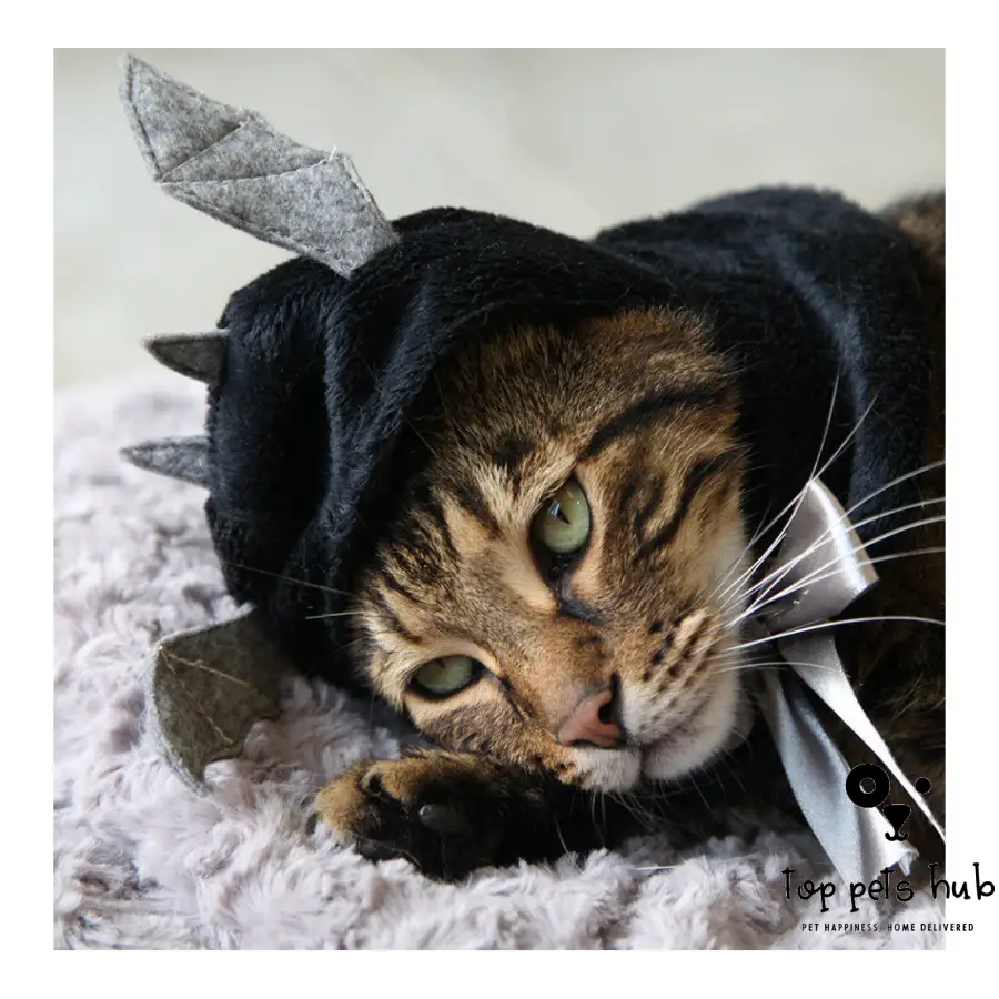 Halloween Bat Hooded Pet Cloak