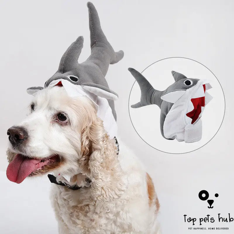 Cute Halloween Pet Shark Hat