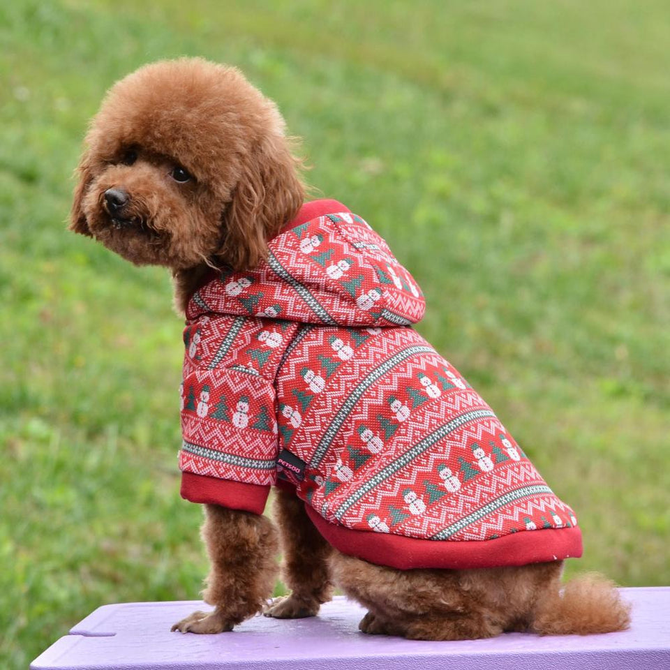 Knitted Wool Christmas Coat for Dogs