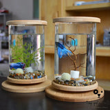 Mini Glass Fish Tank