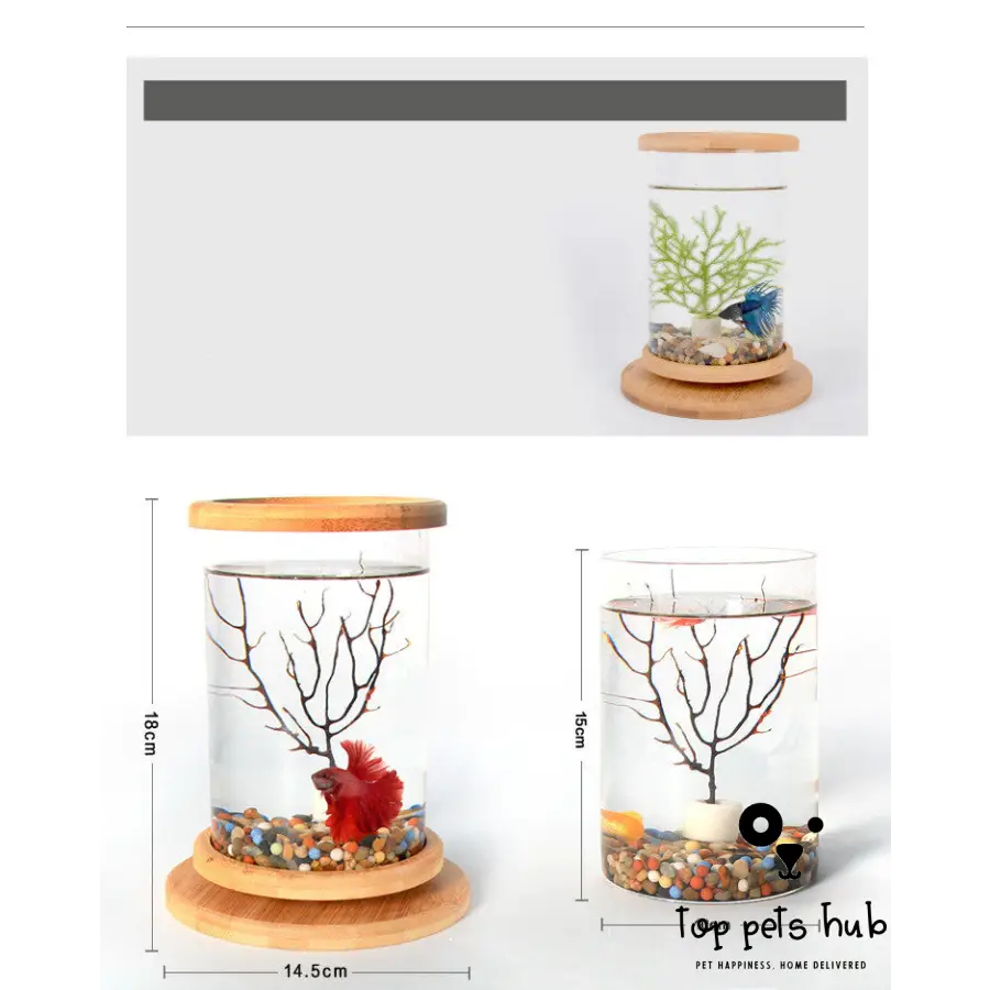 Mini Glass Fish Tank - Decorative Aquarium for Small Spaces – Top Pets Hub