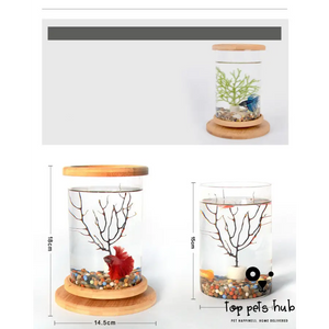 Mini Glass Fish Tank