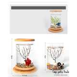 Mini Glass Fish Tank