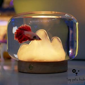 Mini Glass Fish Tank