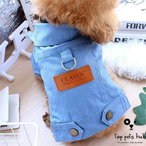 Stylish Denim Traction Jacket for Dogs and Cats